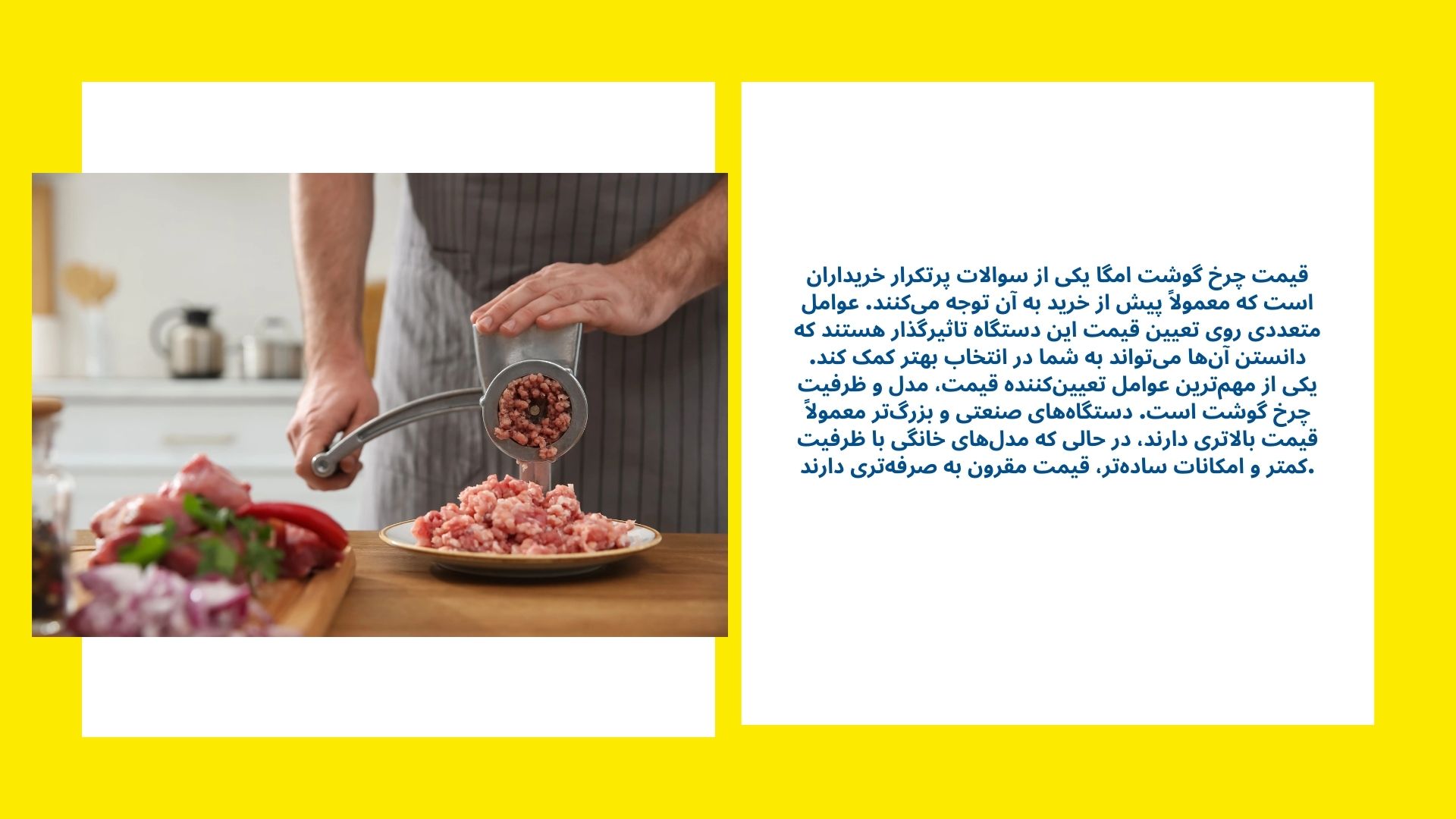 خرید چرخ گوشت امگا